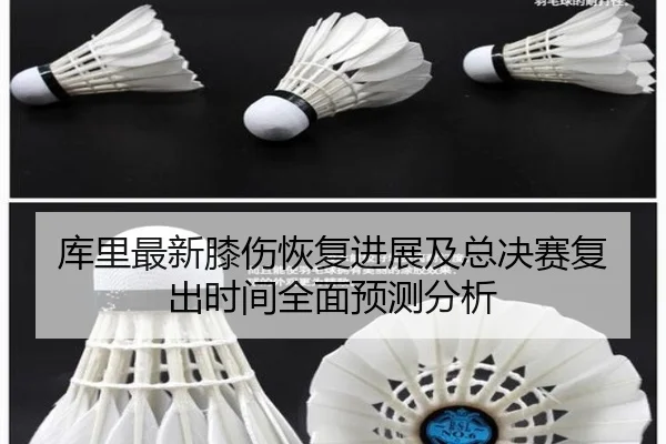 库里最新膝伤恢复进展及总决赛复出时间全面预测分析